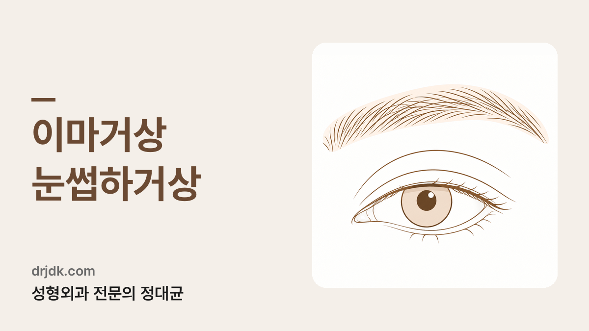 눈썹 부위를 표시한 눈 그림