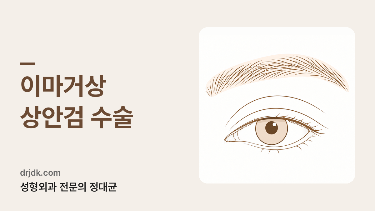 눈썹 부위를 표시한 눈 그림