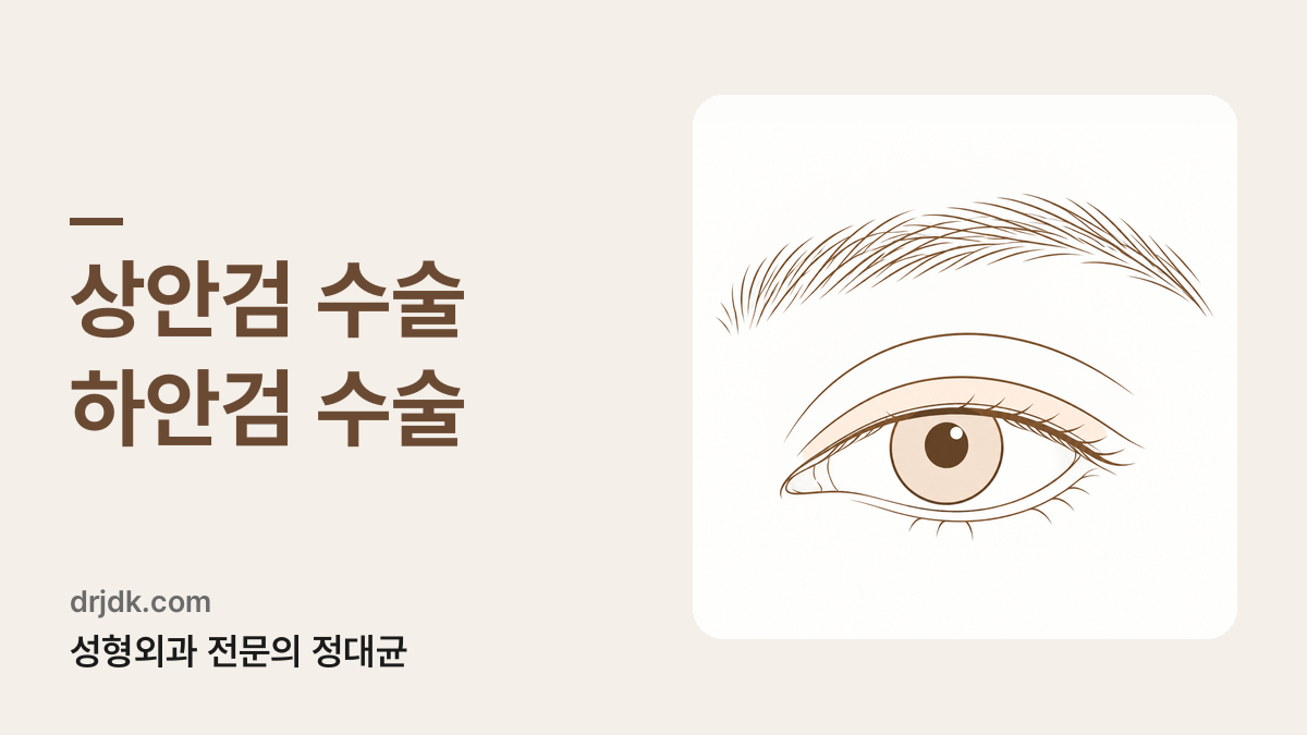 윗눈꺼풀 부위를 표시한 눈 그림